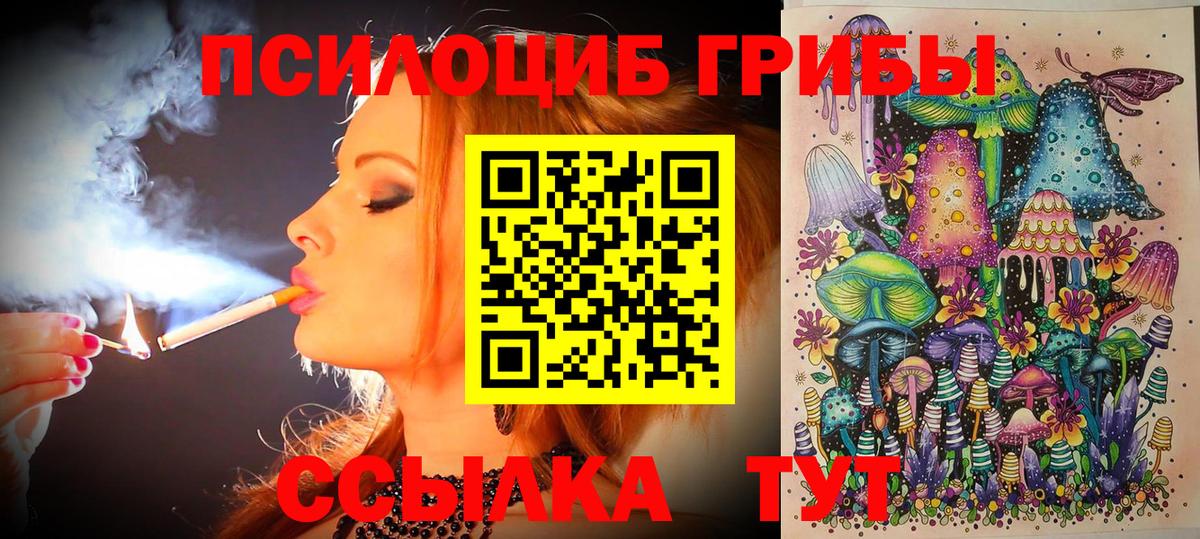 Северодвинск  Псилоцибиновые грибы Cubensis  Псилоцибиновые грибы прущие грибы  Вход с VPN 